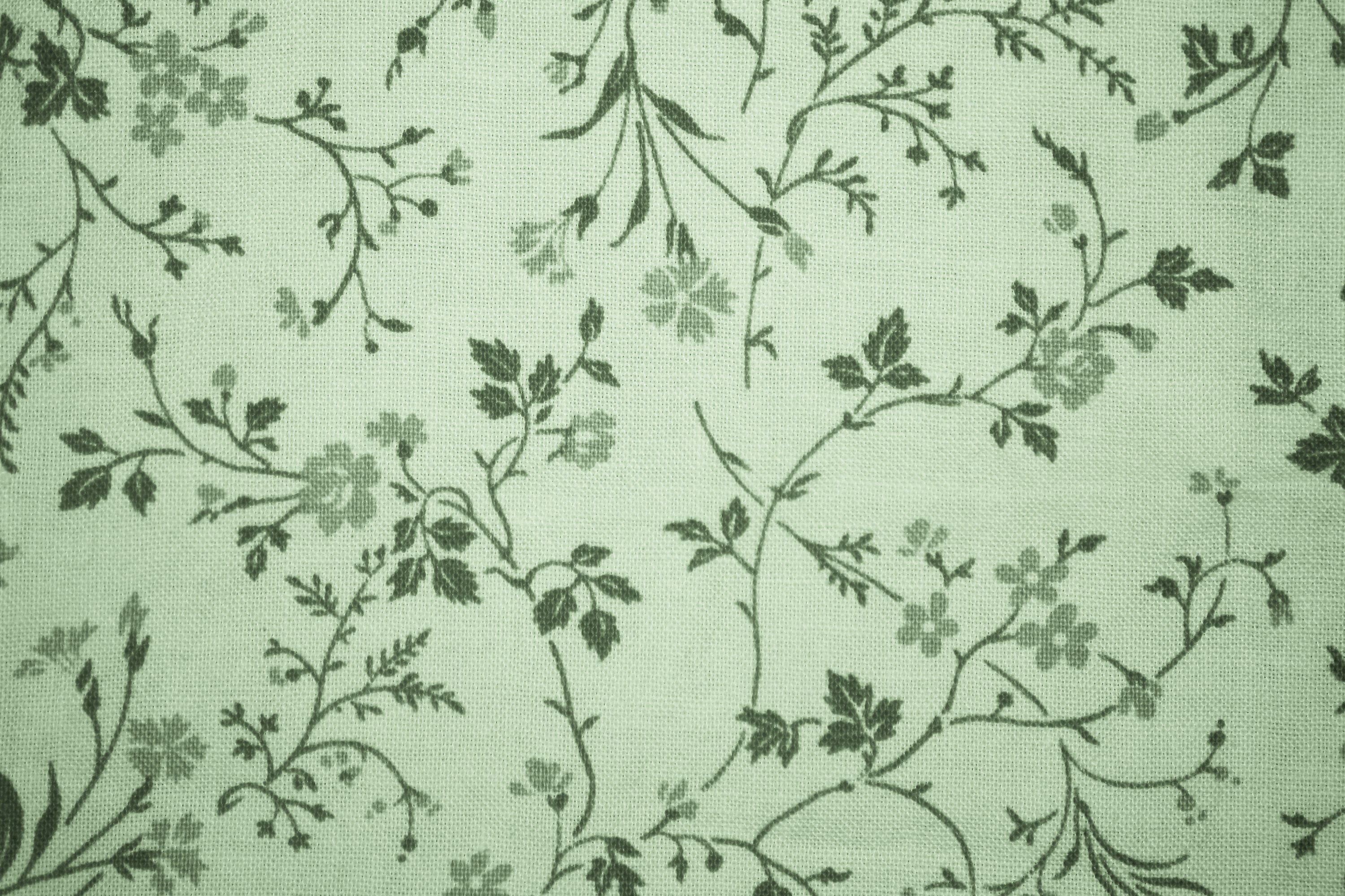 [47+] Sage Green Wallpaper | WallpaperSafari.com