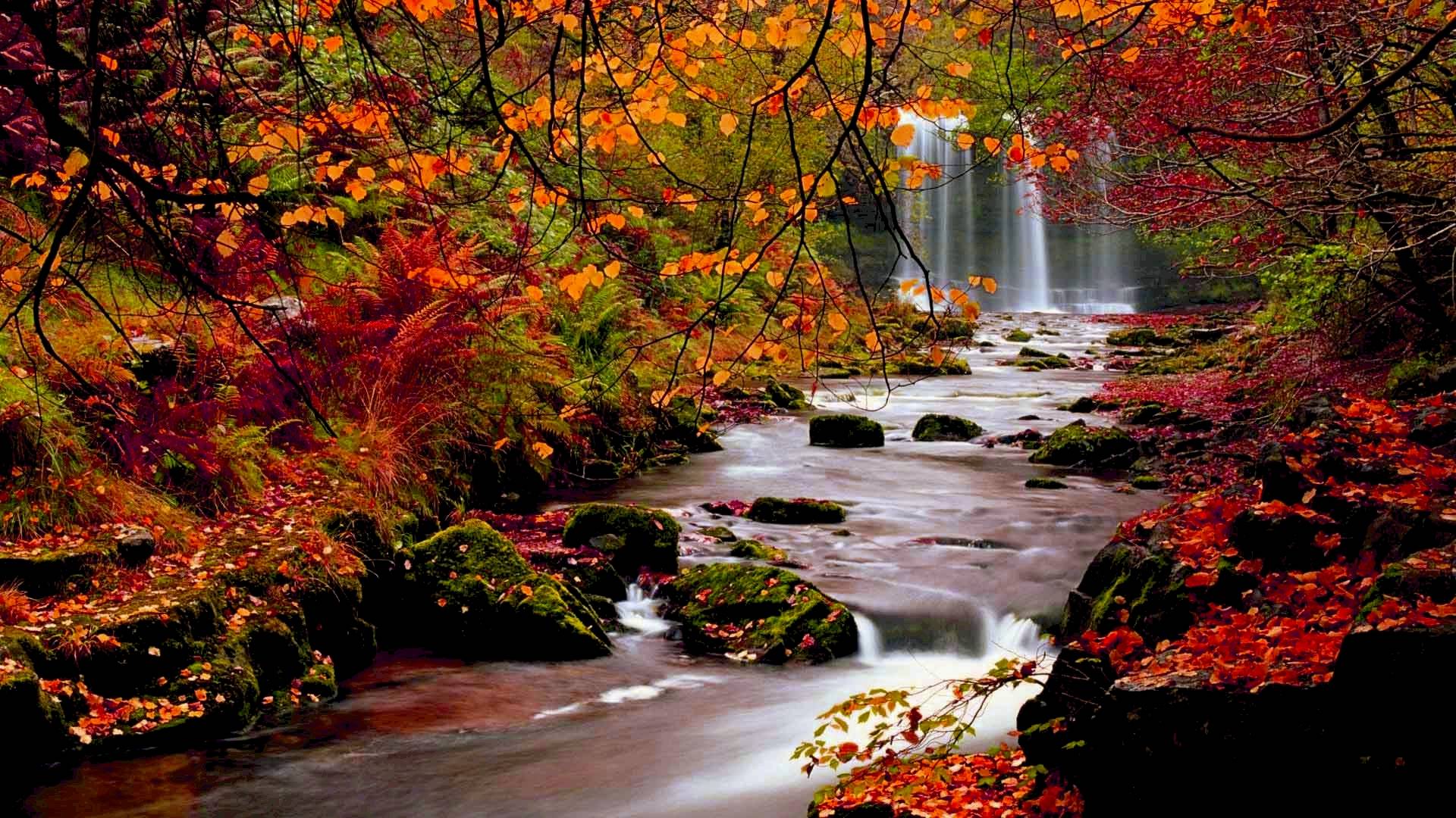 Fall Wallpapers Pictures - Wallpaper Cave